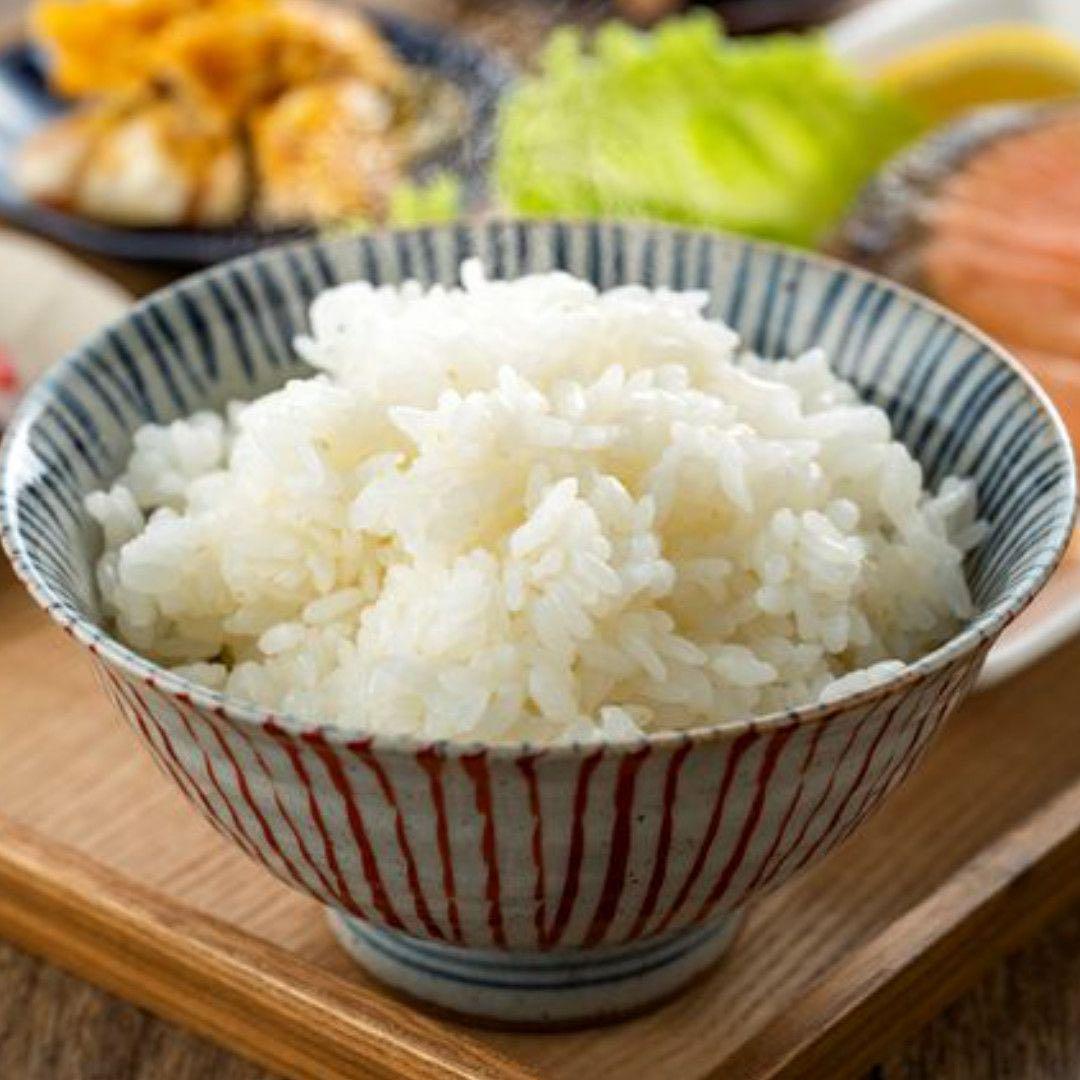 【白米】【精米】広島県産こしひかり 10kg(5kgx2袋)