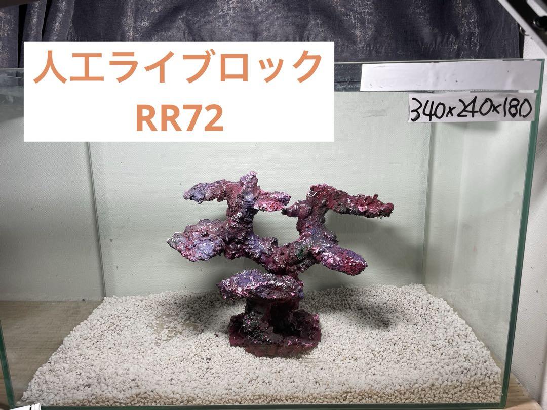 人工ライブロック　SHR10アク抜き済み安心塗料使用 人工ライブロック RR72 アク抜き済み安心塗料使用 - メルカリ