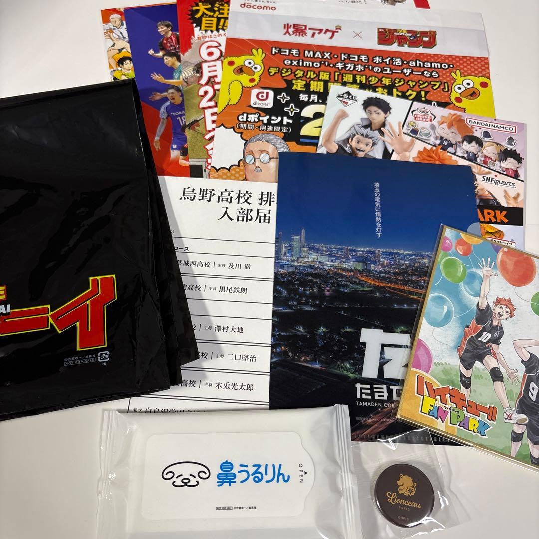 ハイキュー!! ファンパーク FAN PARK 来場者記念品 入場特典