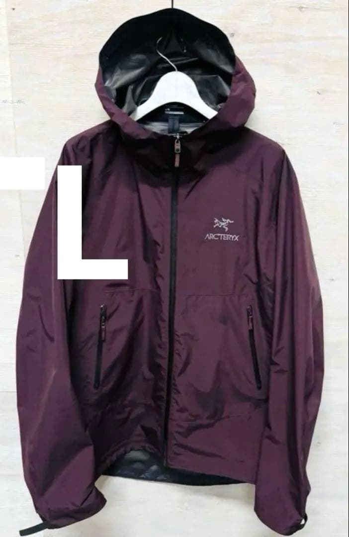 L アークテリクス 色 Phantasm ZETA SLL ARC TERYX