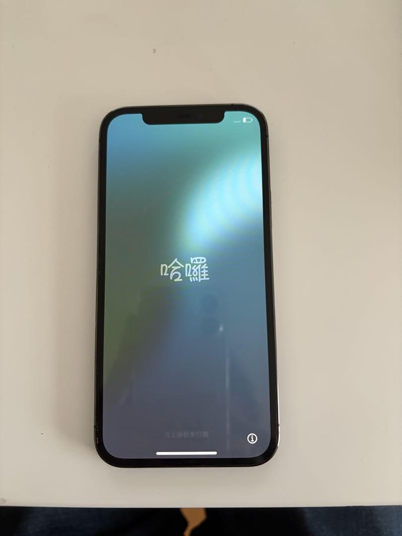 Apple iPhone 12 Pro グラファイト