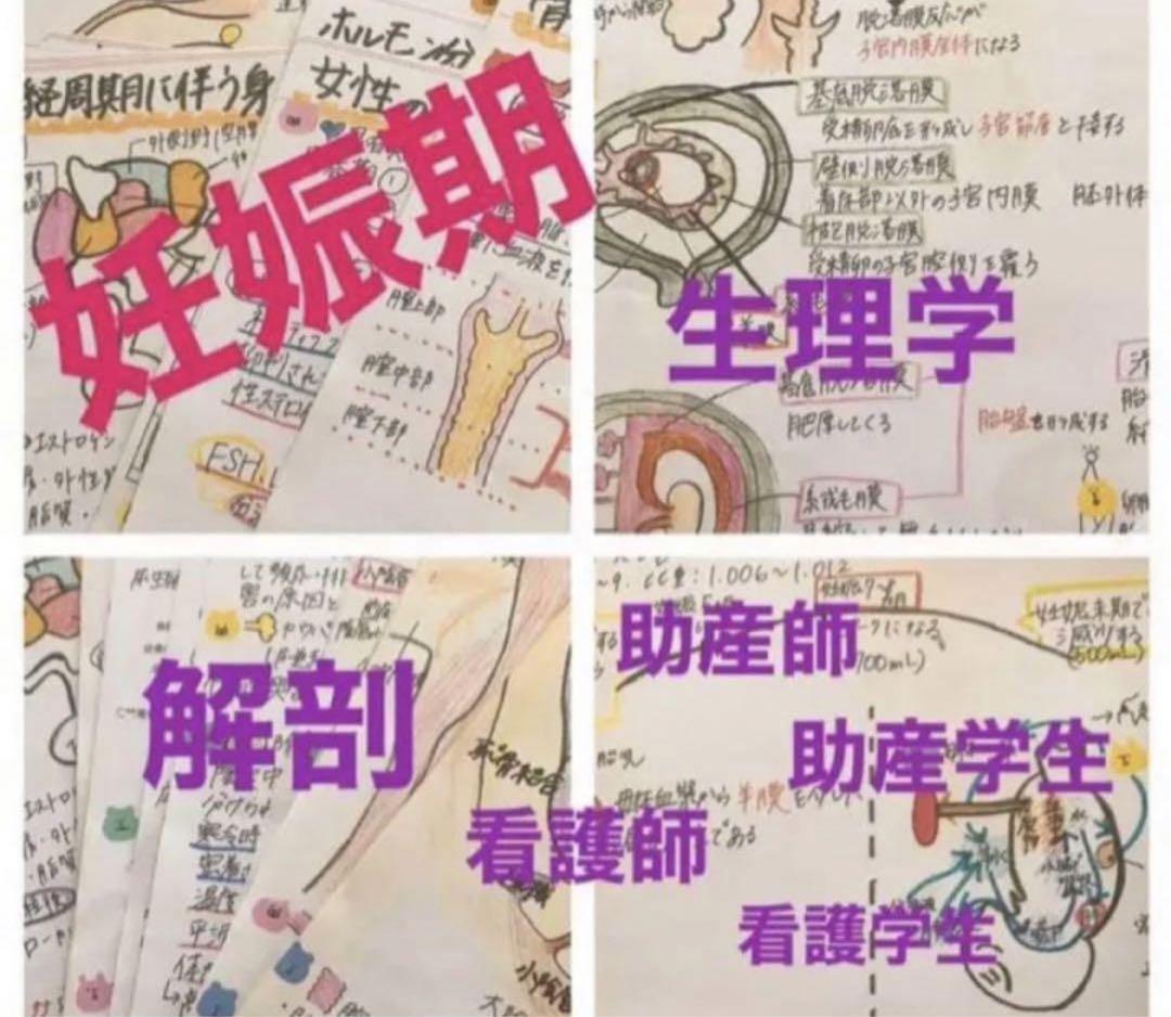 Amazon.co.jp: 助産師 助産学生 実習乗り切りセット まとめ