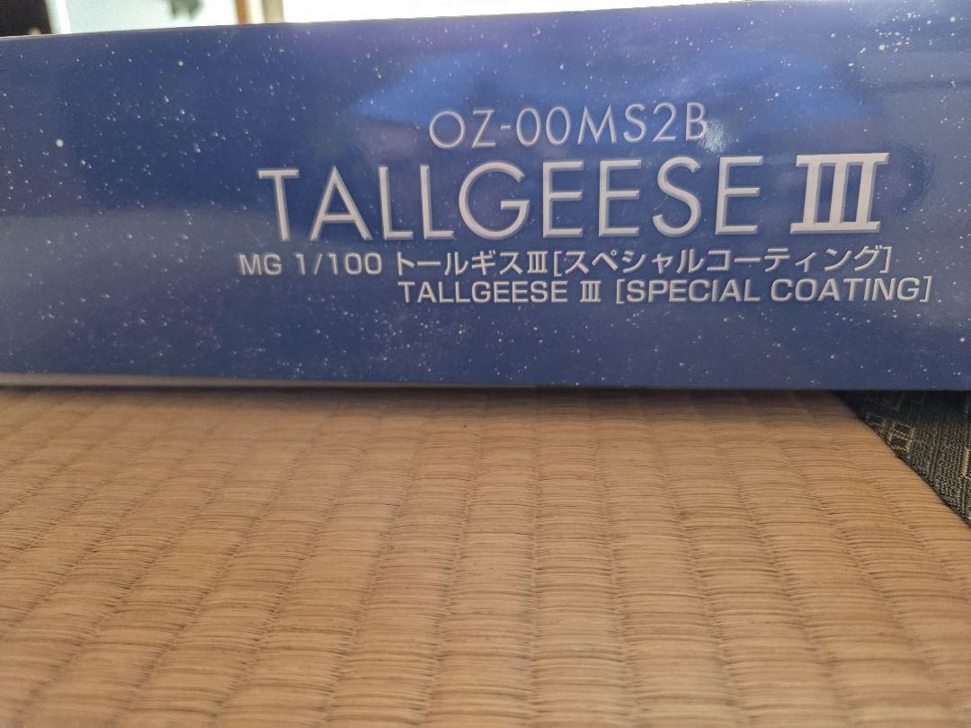MG 1/100 トールギスⅢ [スペシャルコーティング]