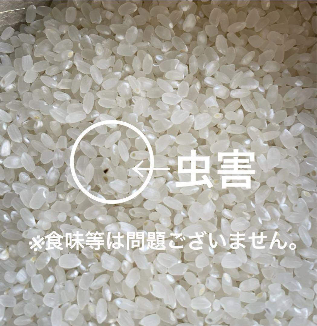 令和6年新米　大分県産なつほのかお米10㎏キロ（精米後9キロ）