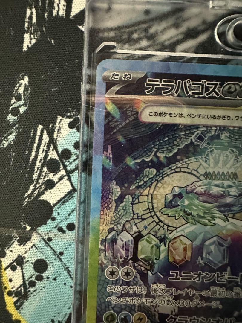 ポケモンカード テラパゴスex SAR ステラミラクル
