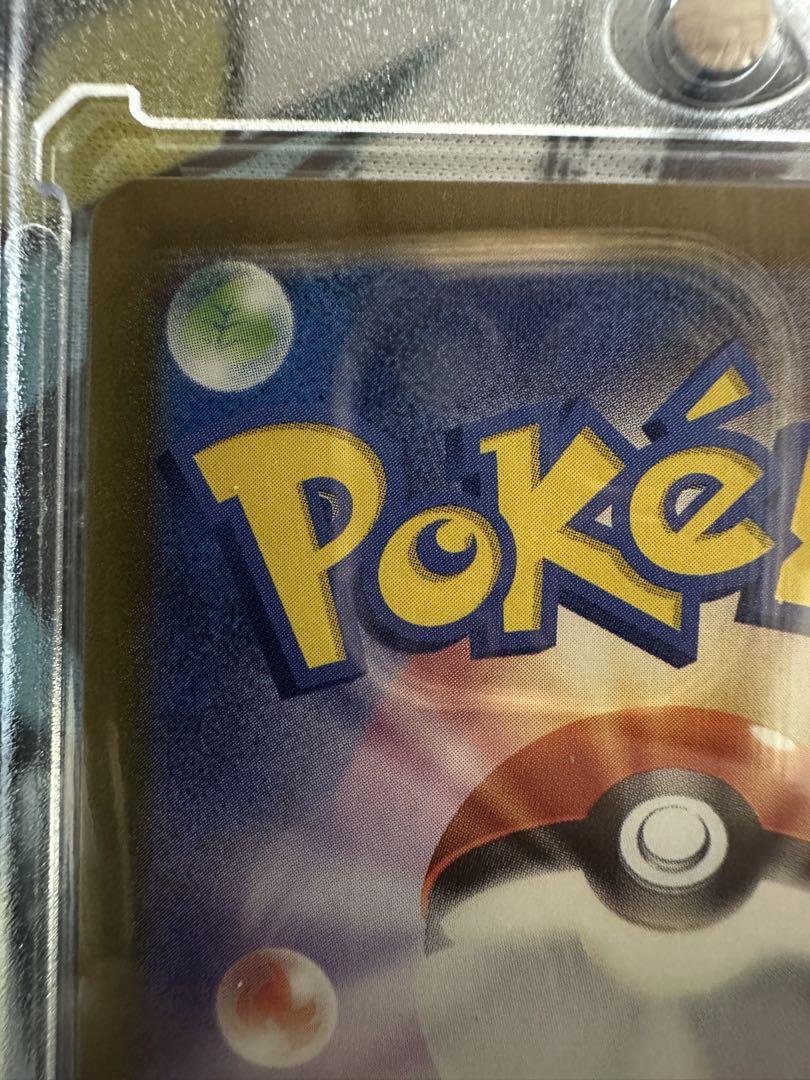 ポケモンカード テラパゴスex SAR ステラミラクル