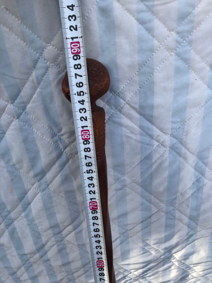 ニュージーランド産の魅力的な