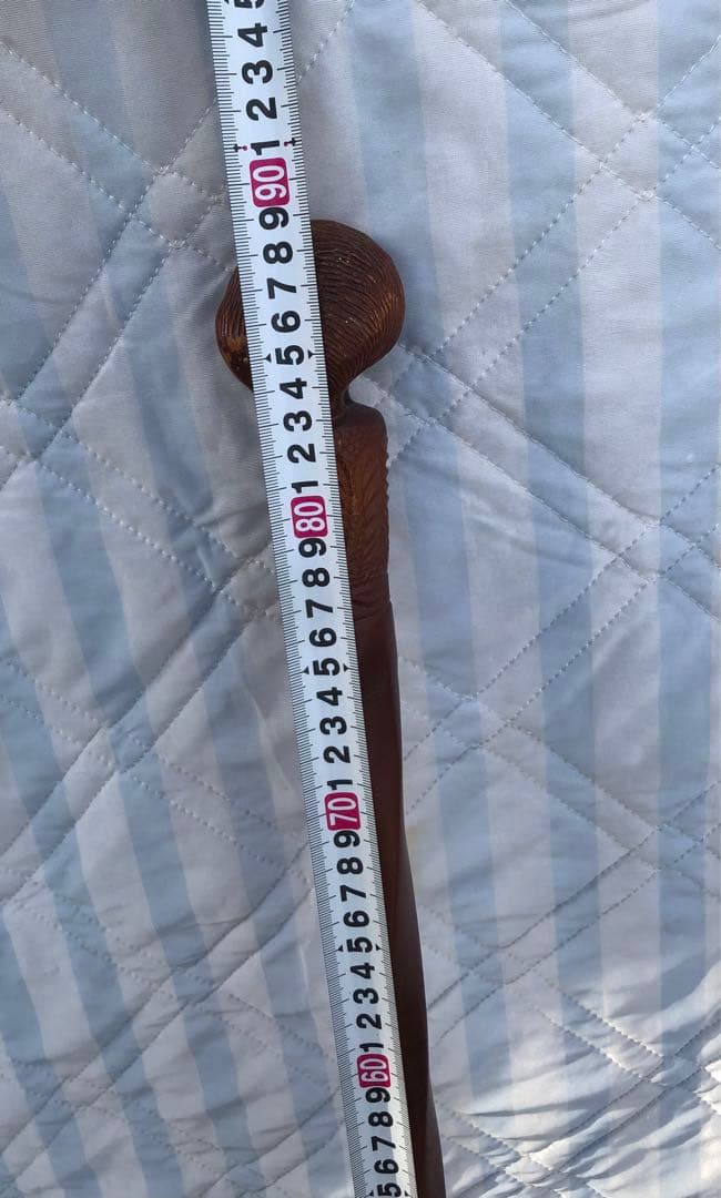 ニュージーランド産の魅力的な