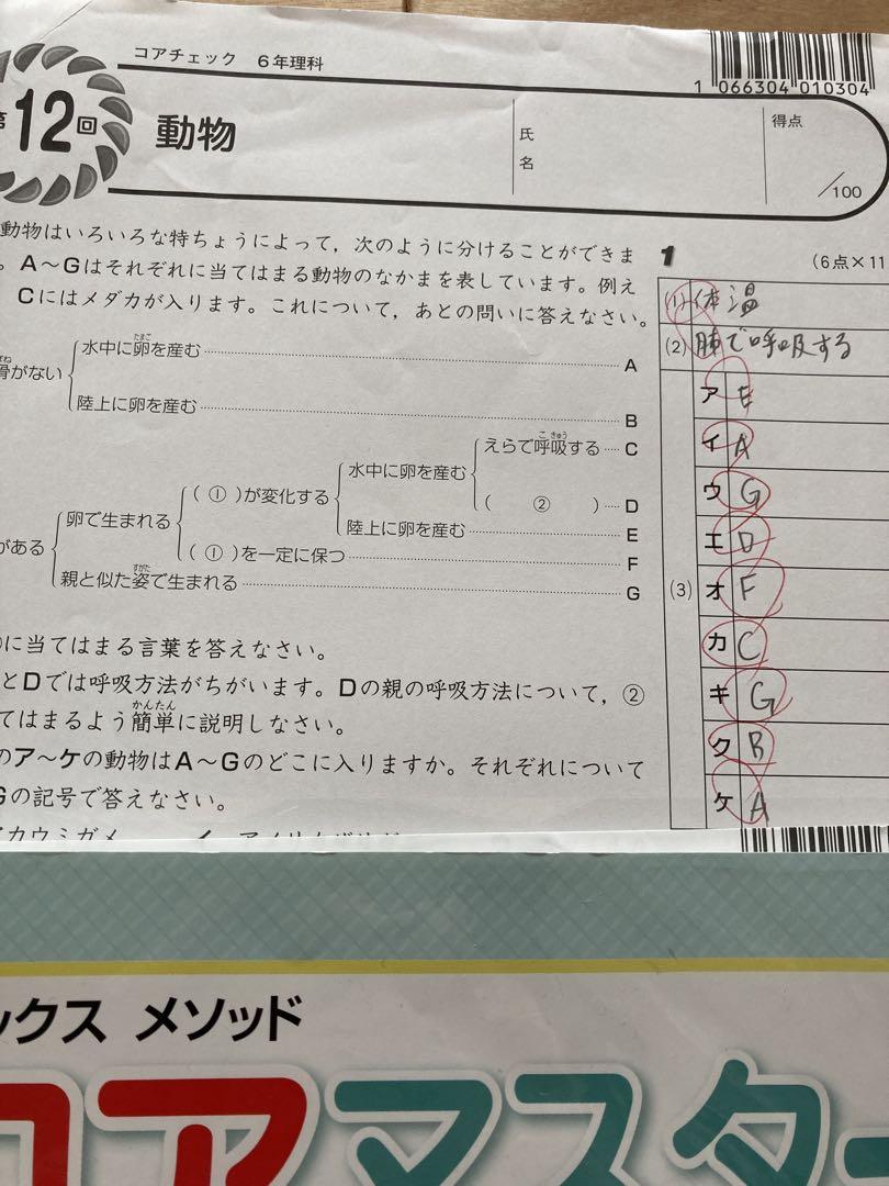 サピックス　メソッド コアマスター　6年