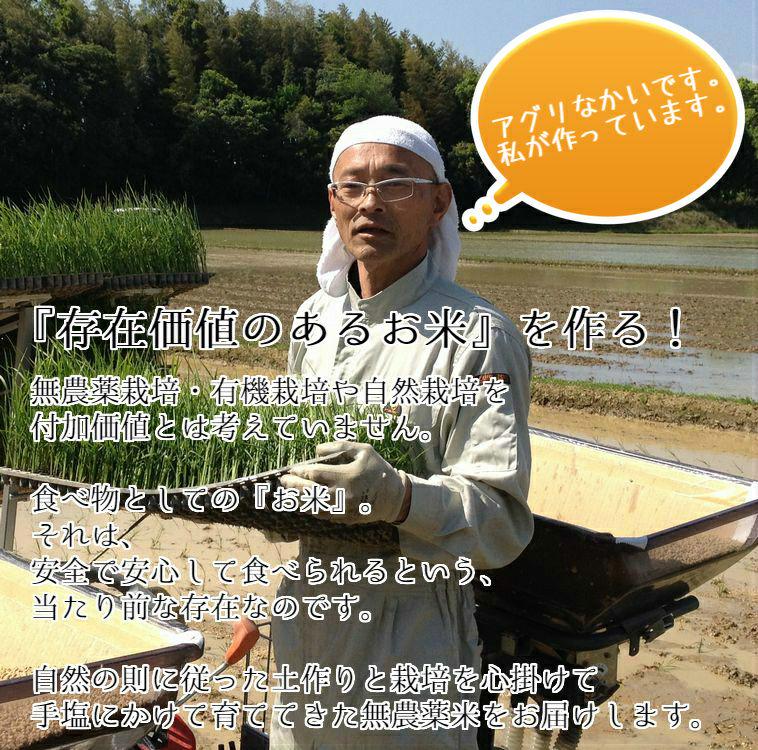 令和2年産 ミルキークイーン 精米10kg vNko2-m46209792037 美味しいお米 無農薬栽培米 大人気特価