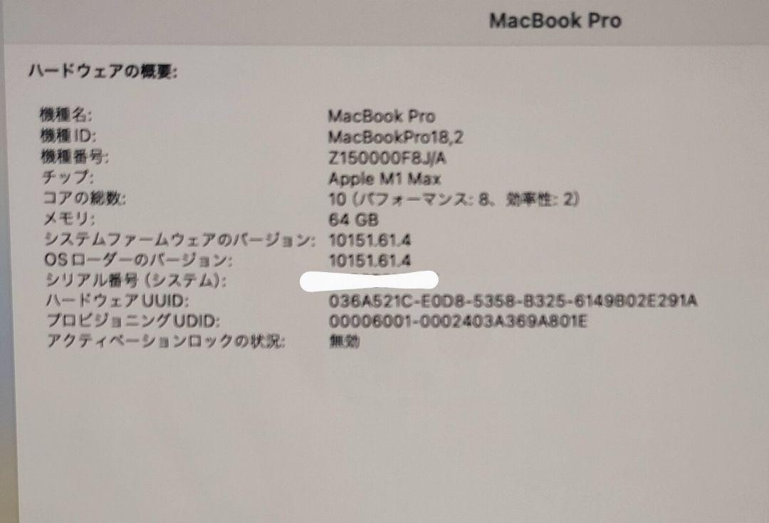 MacBook Pro M1 Max 16インチ メモリ64GB SSD1TB 画像10