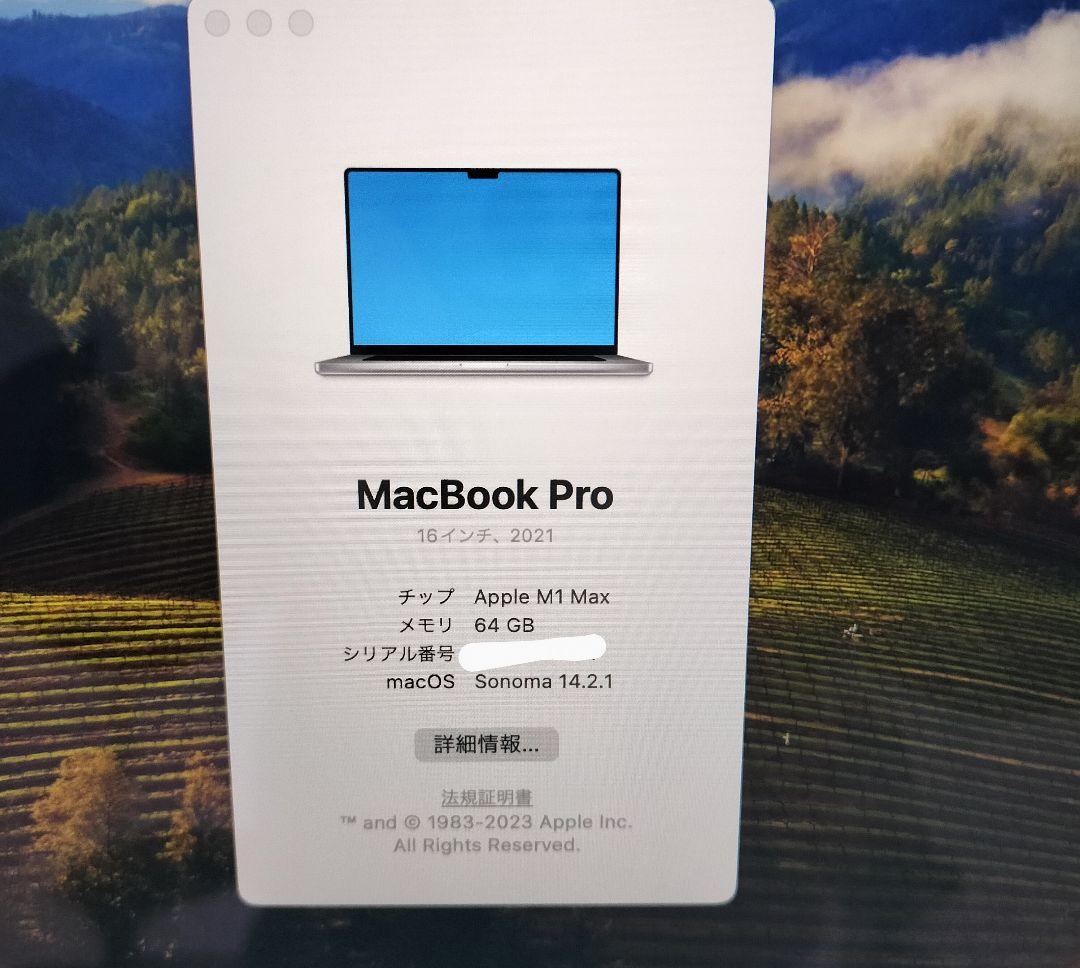 MacBook Pro M1 Max 16インチ メモリ64GB SSD1TB 画像8
