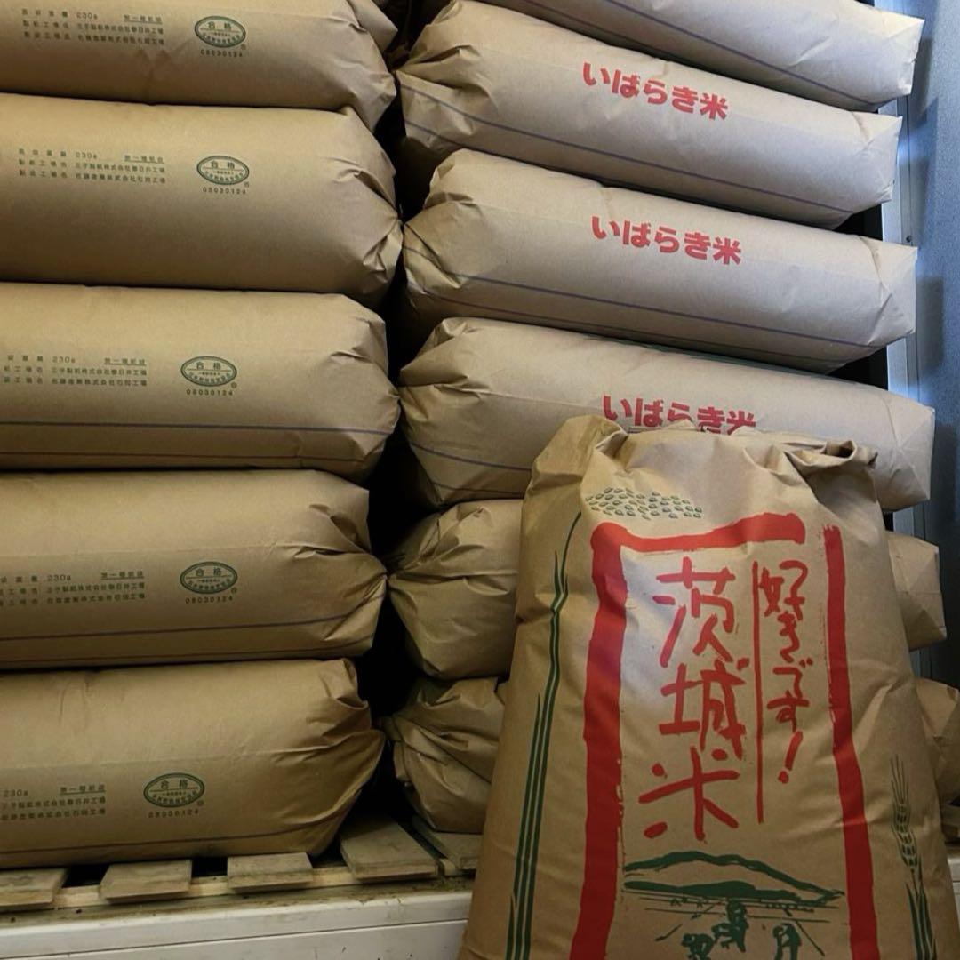 【農家直送】茨城県産コシヒカリ 100% 白米 10kg色彩選別あり R6年度産
