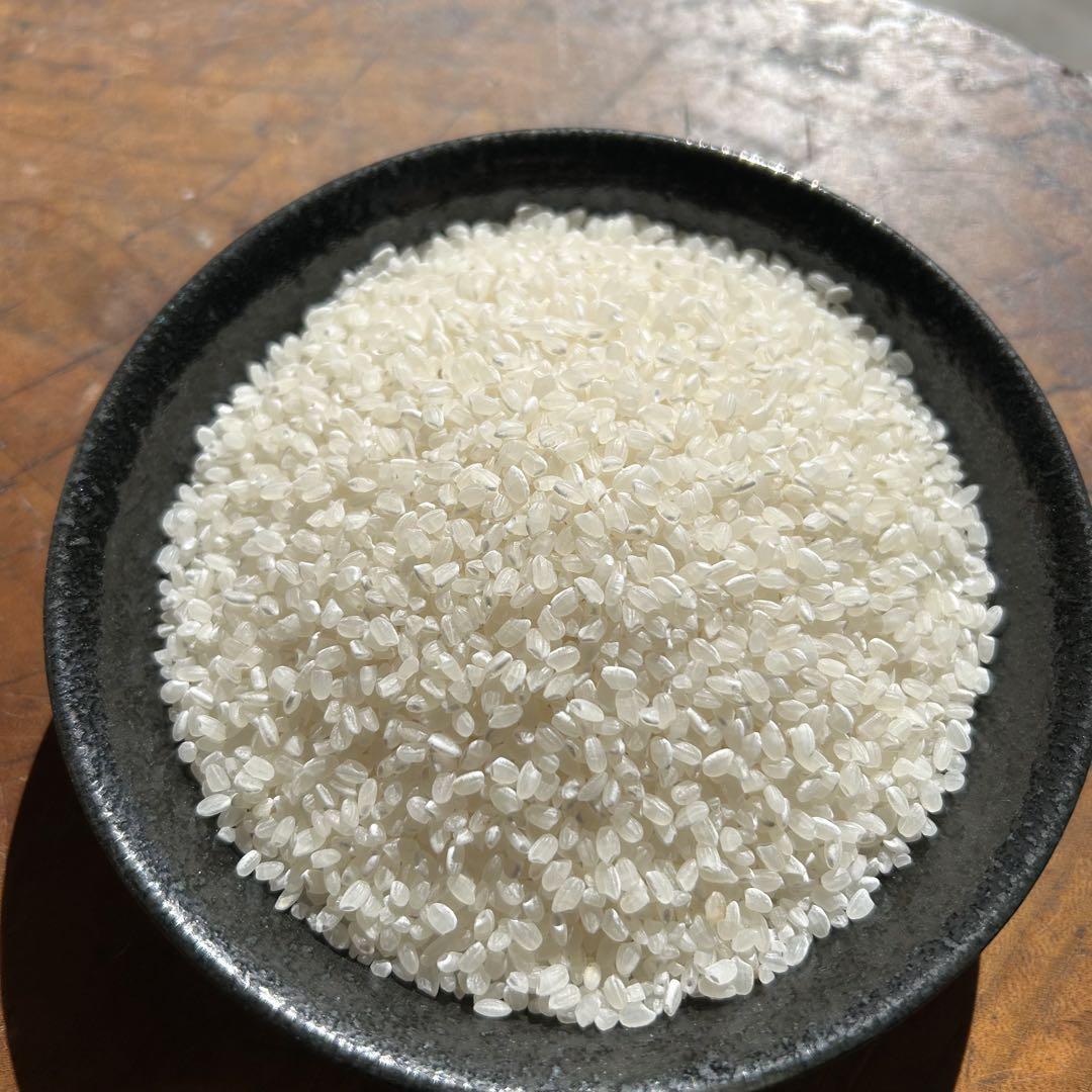 【農家直送】茨城県産コシヒカリ 100% 白米 10kg色彩選別あり R6年度産