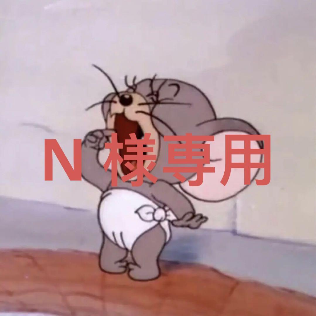 N 様専用