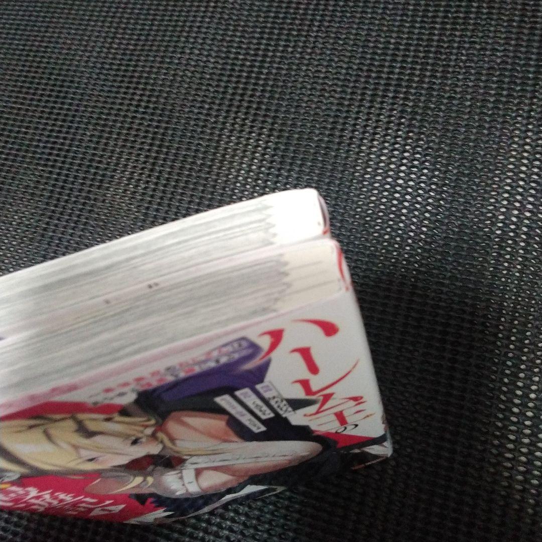 ハーレム王の異世界プレス漫遊記～最強無双のおじさんはあらゆる