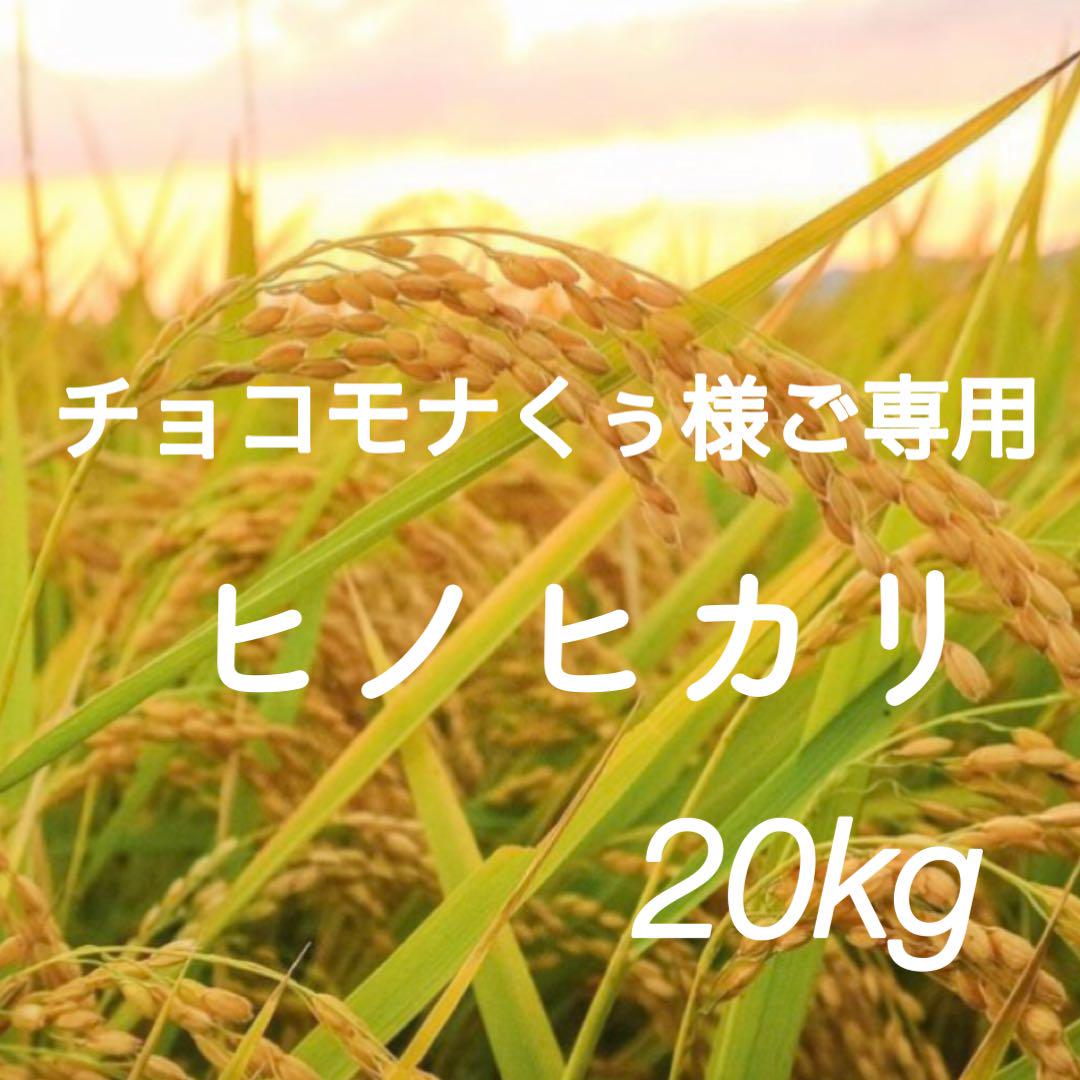 チョコモナくぅ様ご専用　R5年度米愛媛県産ヒノヒカリ　稲架掛け米  20kg