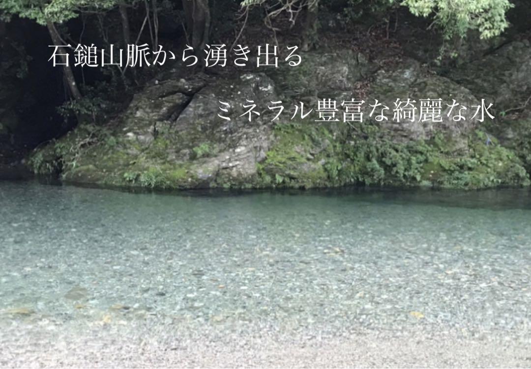 チョコモナくぅ様ご専用　R5年度米愛媛県産ヒノヒカリ　稲架掛け米  20kg