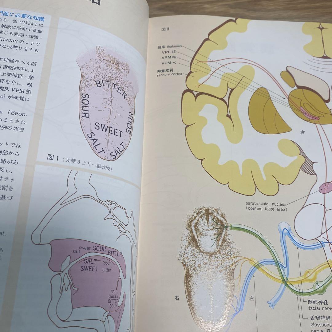 臨床のための神経機能解剖学 臨床のための神経機能解剖学 - 健康/医学高 品質