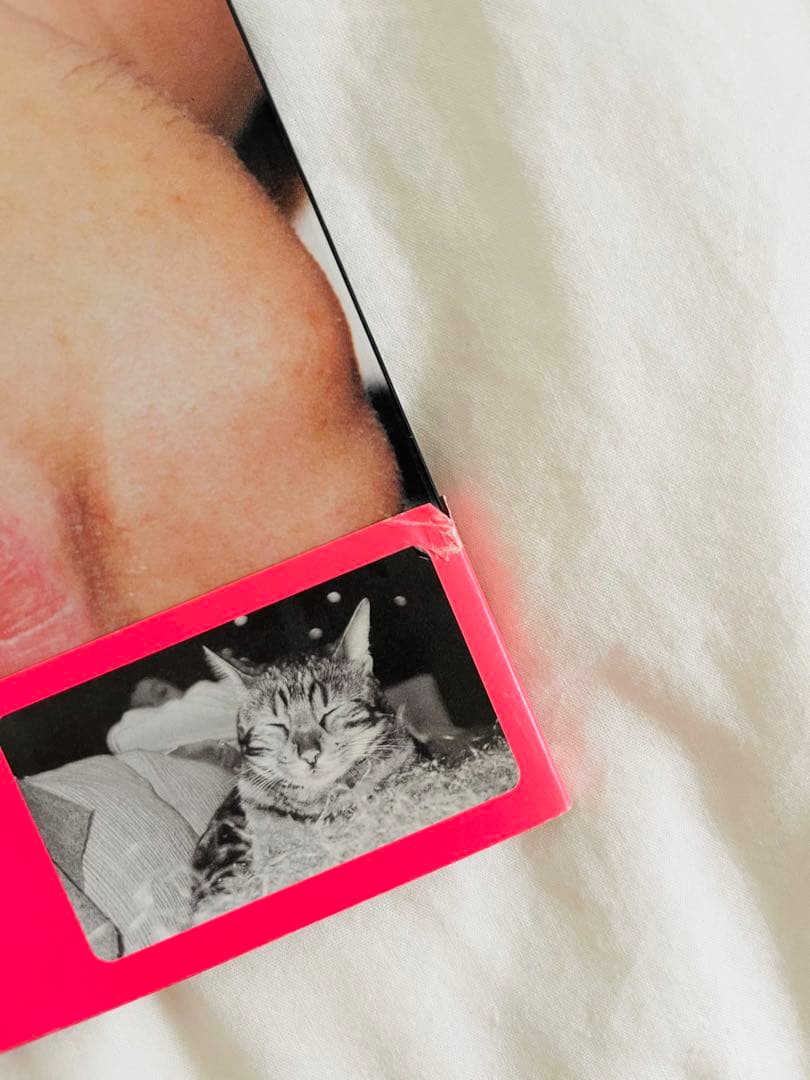 お気に入り】 Virgin Suicides ヴァージン・スーサイズ 公式