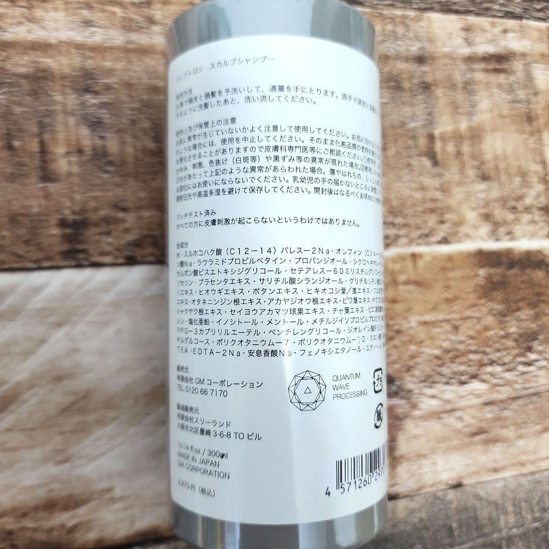 ELECTRON エレクトロン スカルプシャンプー スカルプエッセンス 各2本