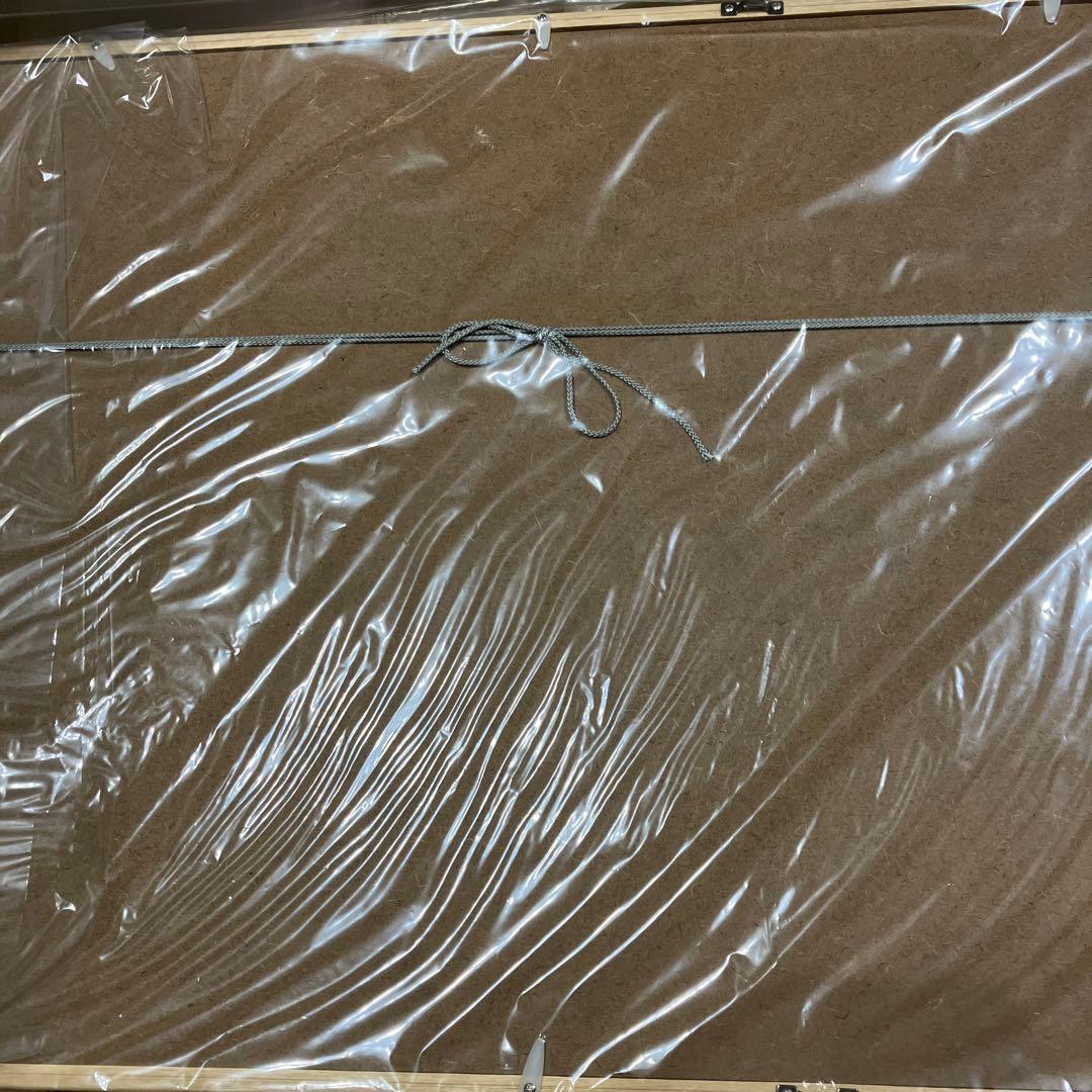 ヴァンパイア騎士 複製原画LaLa35周年 額サイズ約56×44cm ヴァンパイア騎士 複製原画LaLa35周年 額サイズ約56×44cm