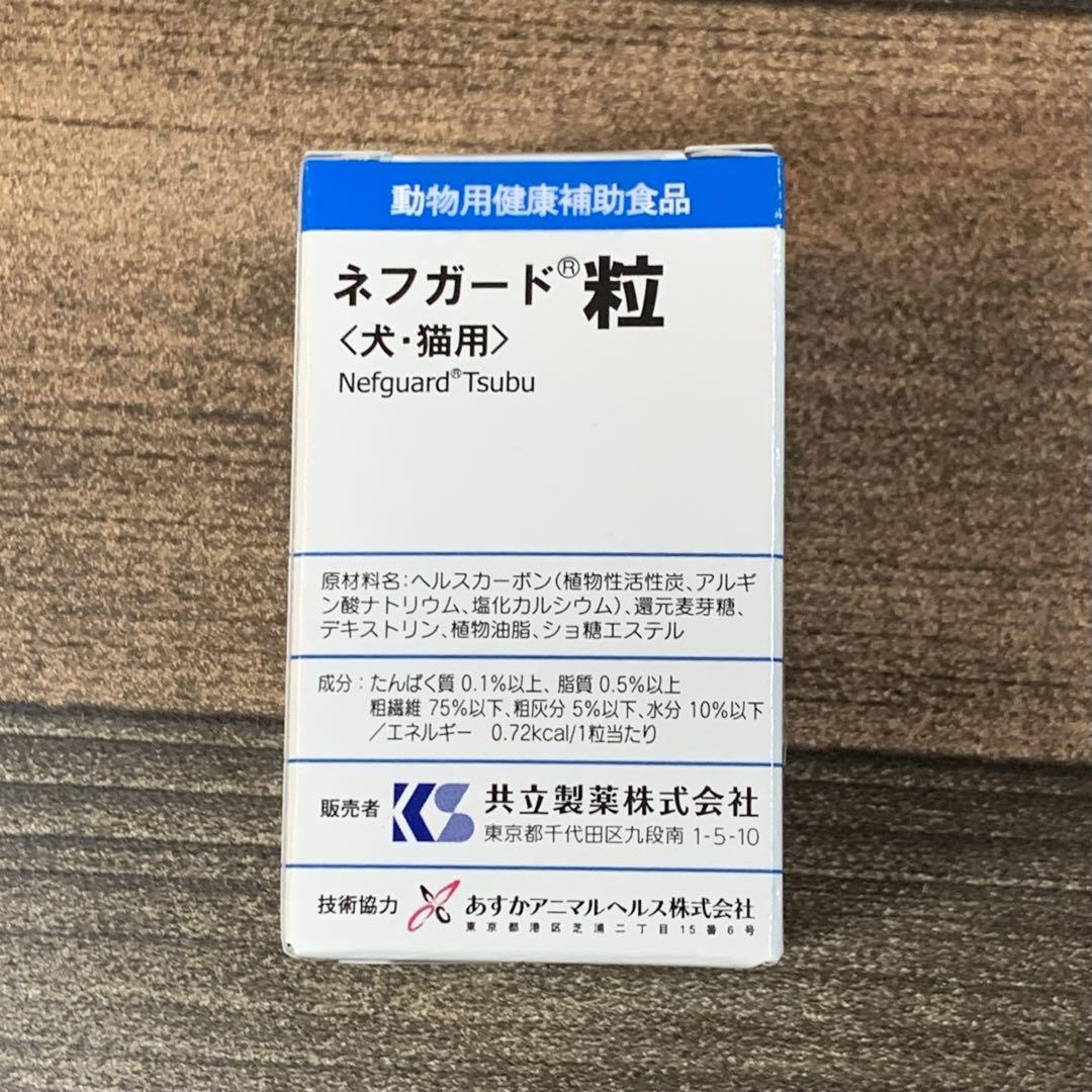 プティラ