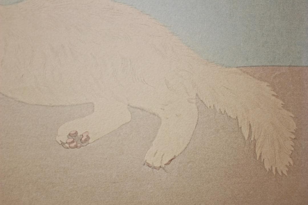 藤田嗣治 エスタンプリトグラフ「白い猫」 150部限定 13/150 藤田嗣治 エスタンプリトグラフ「白い猫」 150部限定 13/150