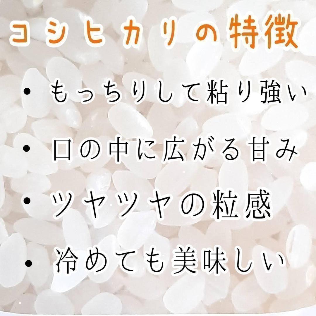 【玄米】新米 令和5年 埼玉県産 コシヒカリ 玄米 30kg