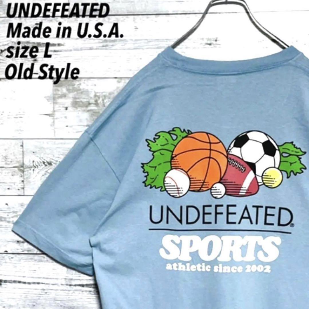 《USA製》UNDEFEATED☆L☆ビッグバックプリント☆スポーツ☆水色