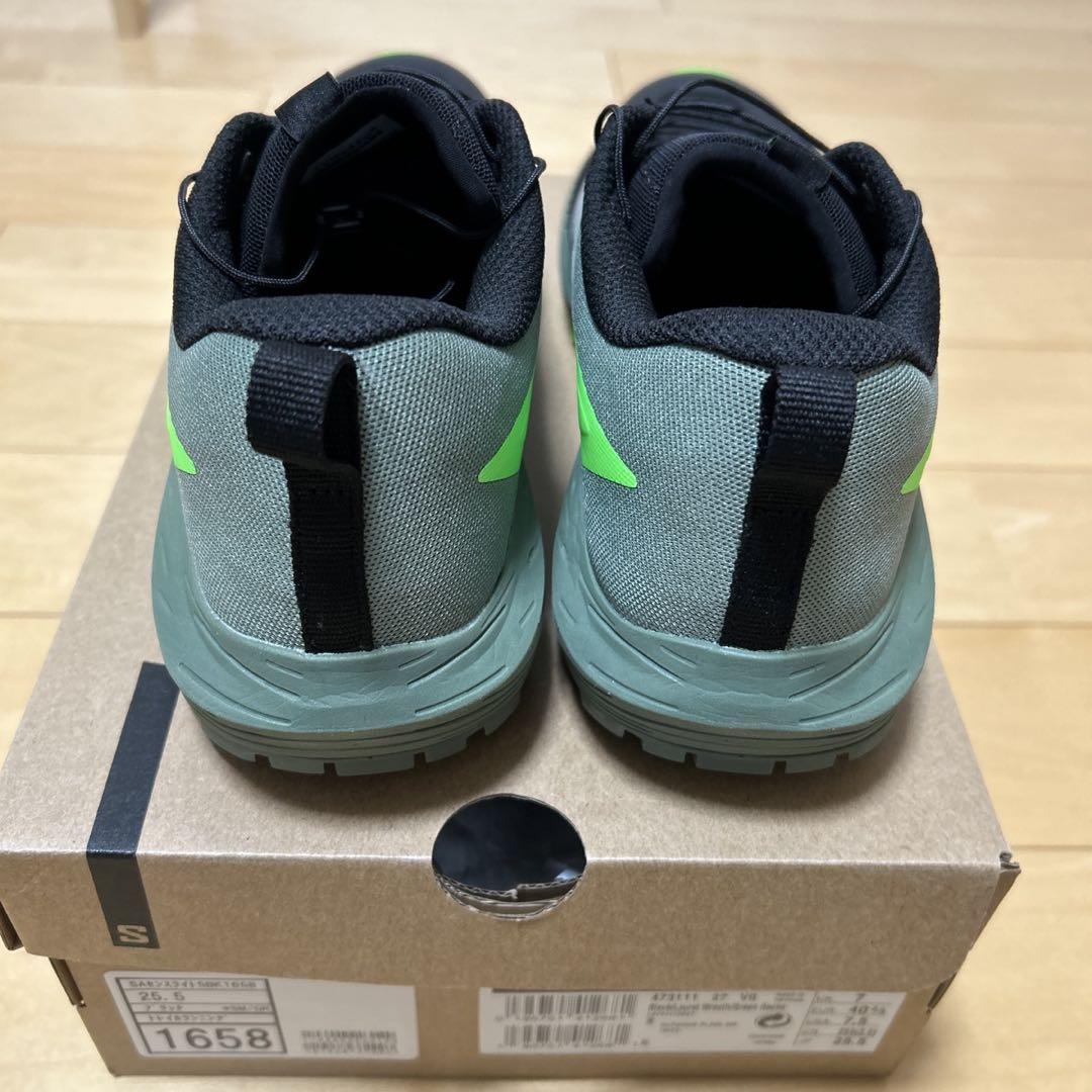 Salomon Sense