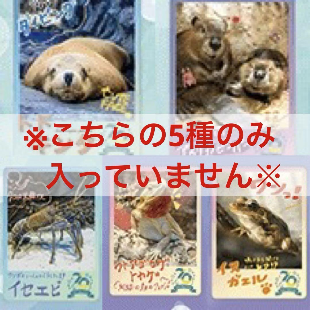 鳥羽水族館　コレクションカード　ノーマルカード　セミコンプリート　69種 TOBA AQUARIUMコレクションカード」販売決定！ | 鳥羽水族館