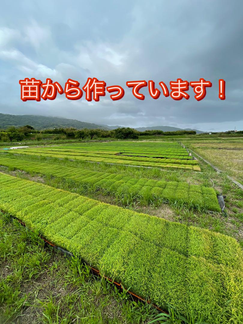 てんこもり精米後24キロ 米・雑穀・粉類