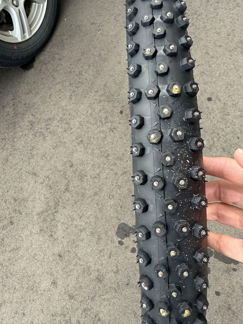 シュワルベ　アイススパイカープロ　SCHWALBE ICESPIKER PRO