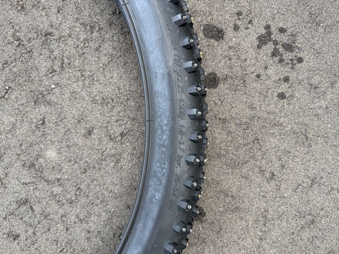 シュワルベ　アイススパイカープロ　SCHWALBE ICESPIKER PRO