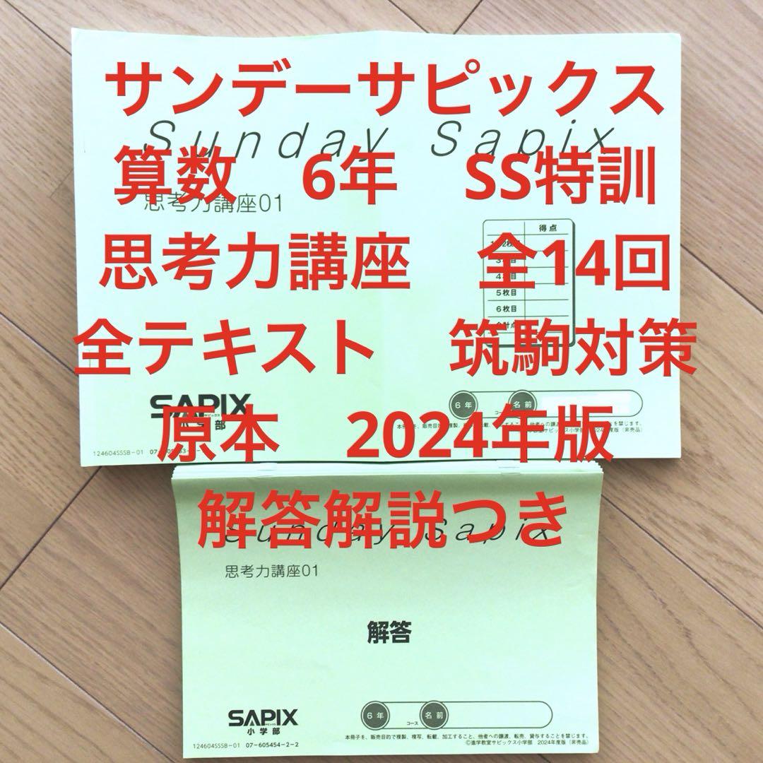 サンデーサピックス　6年　算数　SS特訓　思考力講座　全テキスト　筑駒対策　解答
