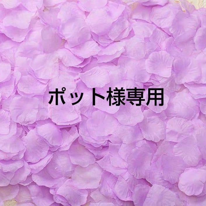 ポット様専用です♪