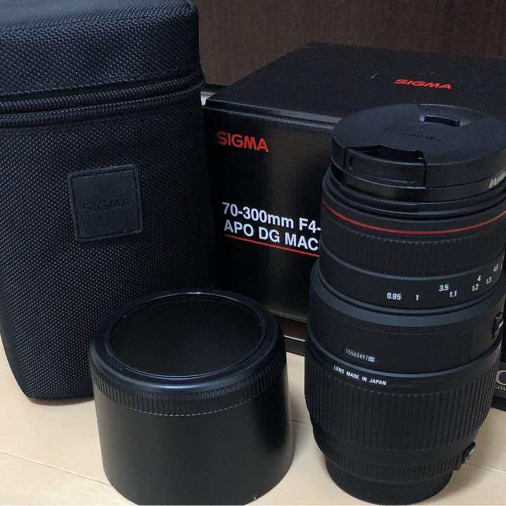 フィルムカメラ SIGMA APO 70-300mm F4-5.6 DG MACRO