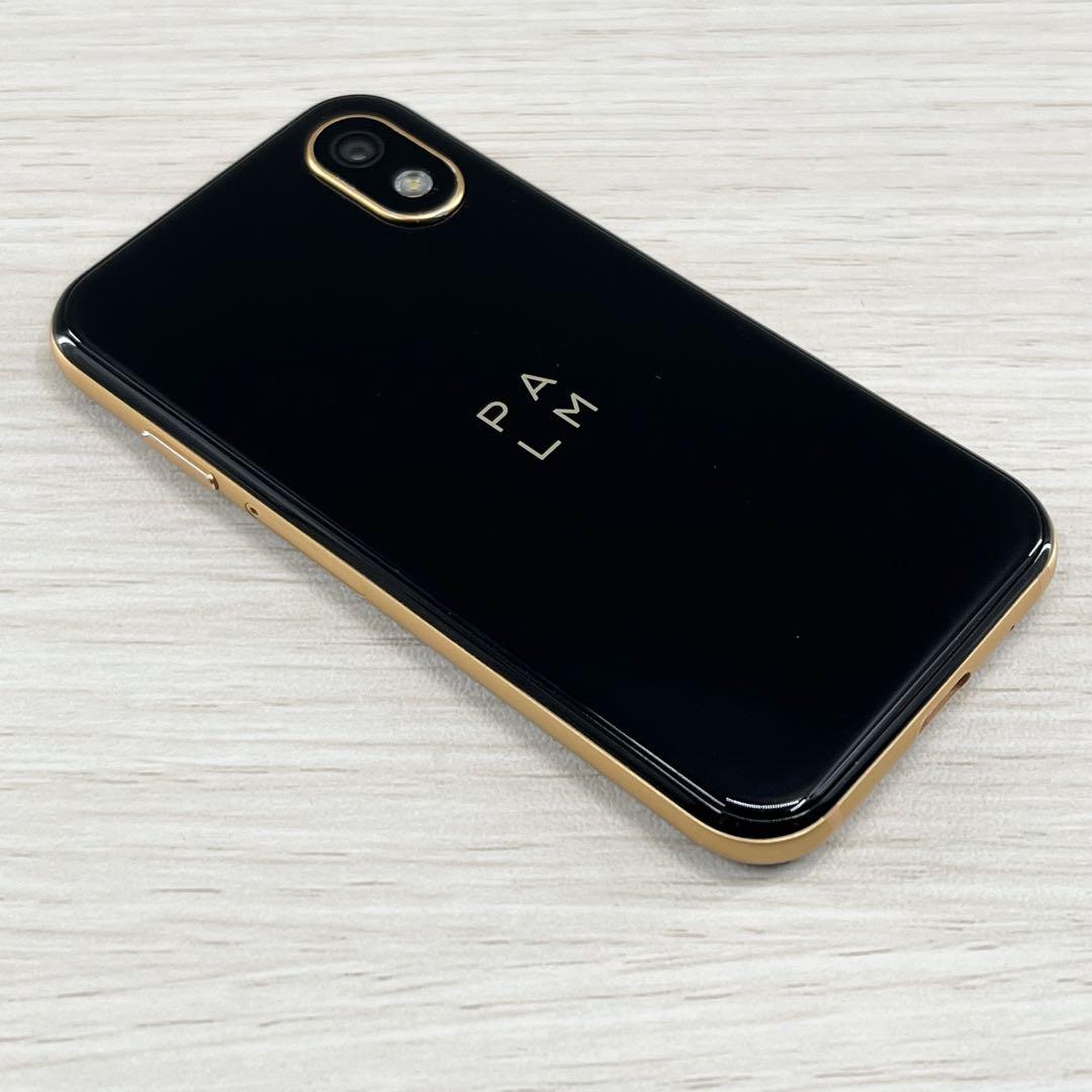 Palm Phone PVG100 3GB/32GB 小型 SIMフリー