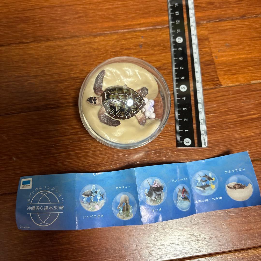 沖縄美ら海水族館 カプリウムコレクション アオウミガメ - メルカリ