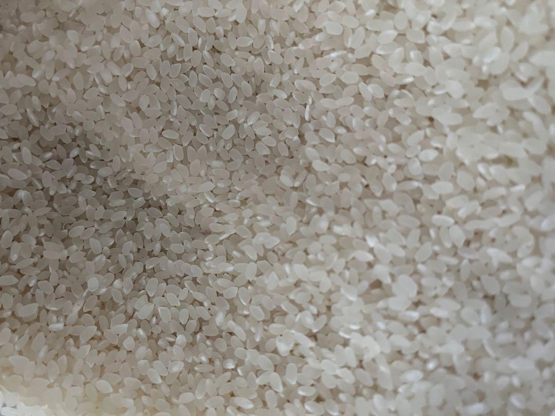 徳島県産　令和6年度　あきさかり　新米　30キロ　玄米