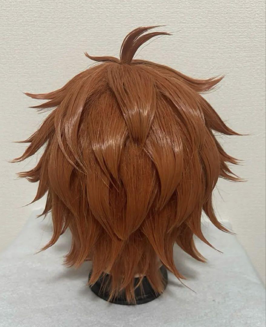 エース・トラッポラ　コスプレウィッグ