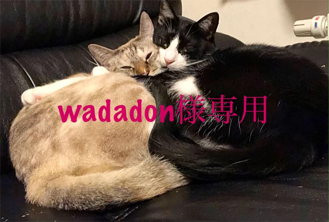 高級ブランド Wadadon様 お取り置き期間10月28日 木 でお願い致します その他 Guaira Uc Edu Py