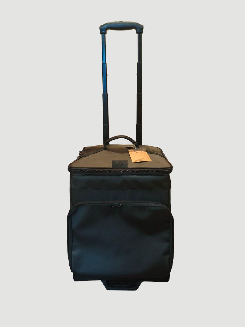 [新品]THE NORTH FACE STANDARD レコードバッグ 12