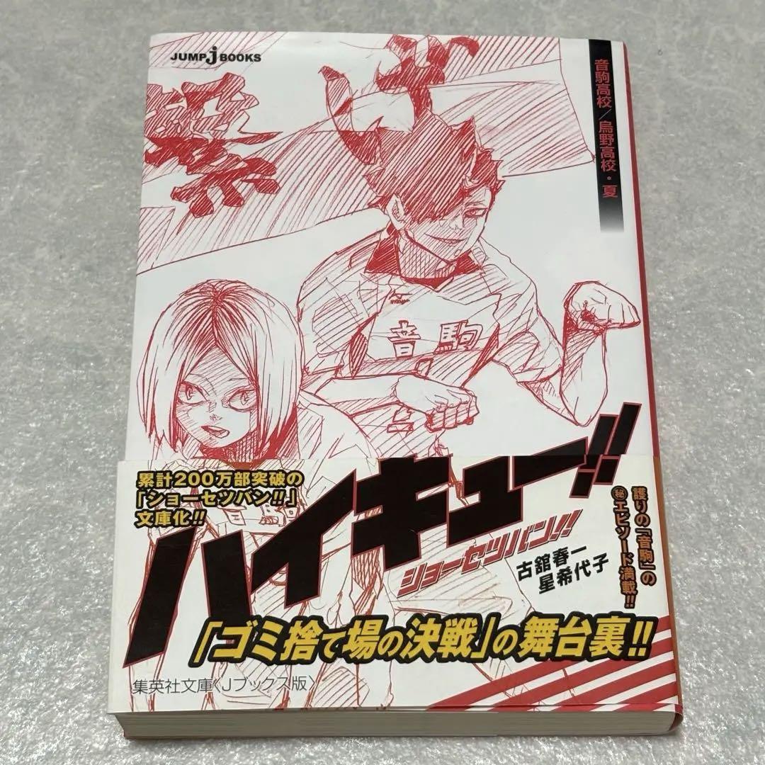 ハイキュー ショーセツバン!! 音駒高校 烏野高校 夏 - メルカリ