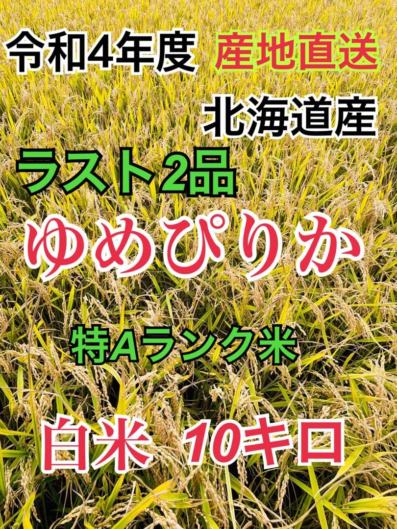 新登場 令和4年産 北海道米 ゆめぴりか 10キロ 農園直送 特Aランク