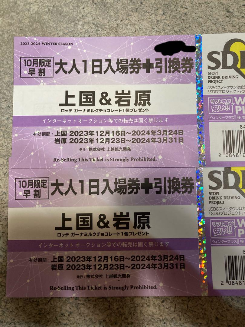 上越国際 岩原 1日入場券 2枚セット