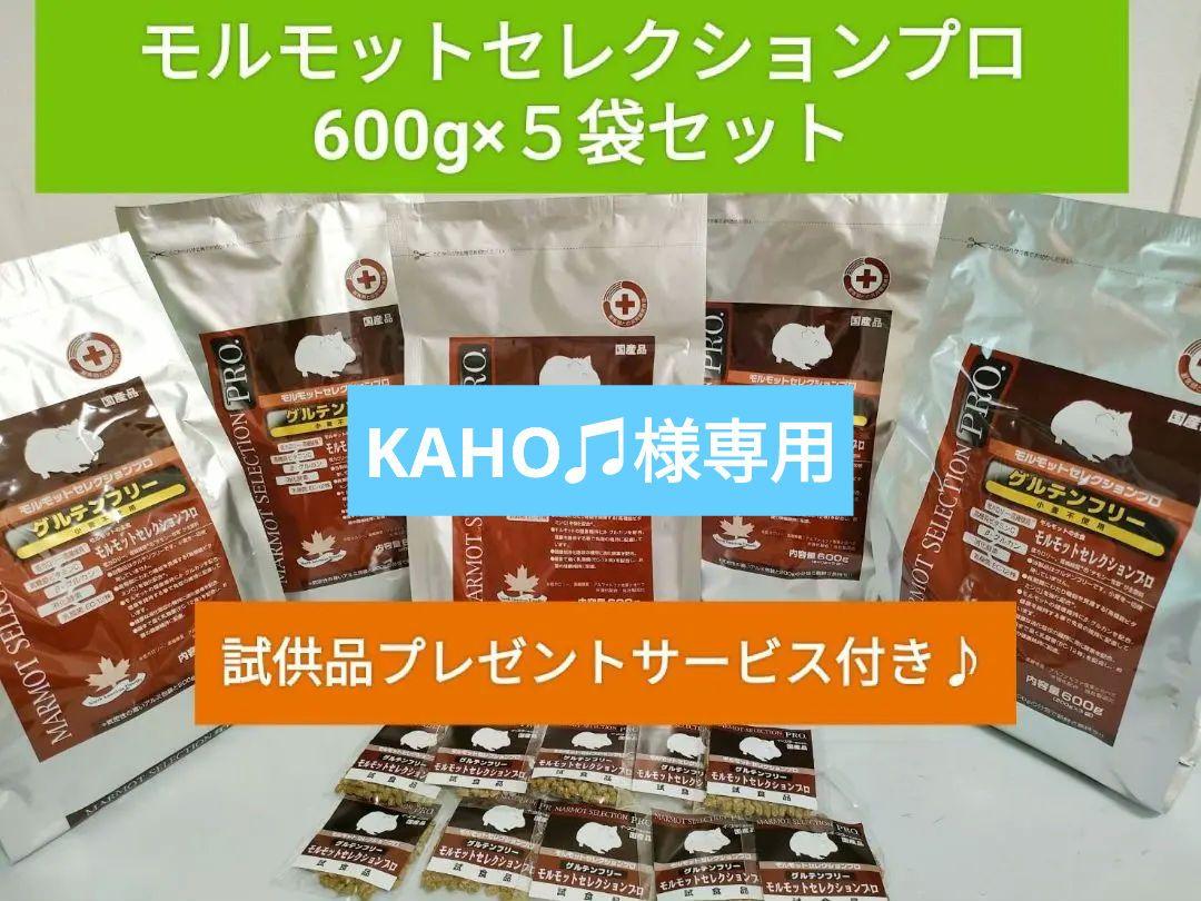 モルモットセレクションプログルテンフリー600g×５袋セット試供品付き！ モルモットセレクションプログルテンフリー600g×5袋セット試供