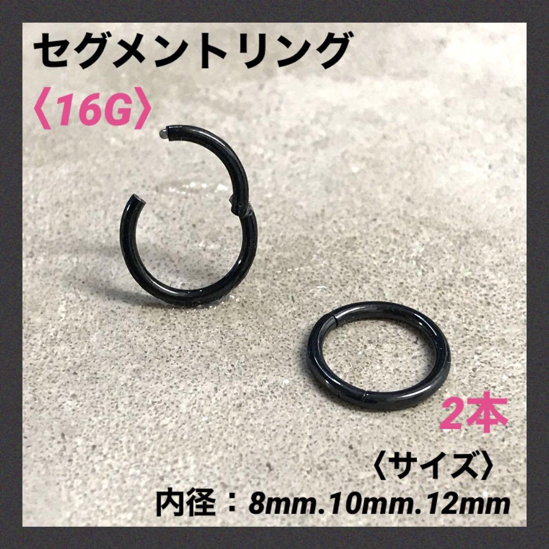 プラチナ セグメントピアス 16号 内径8mm（直径10mm）2個セット