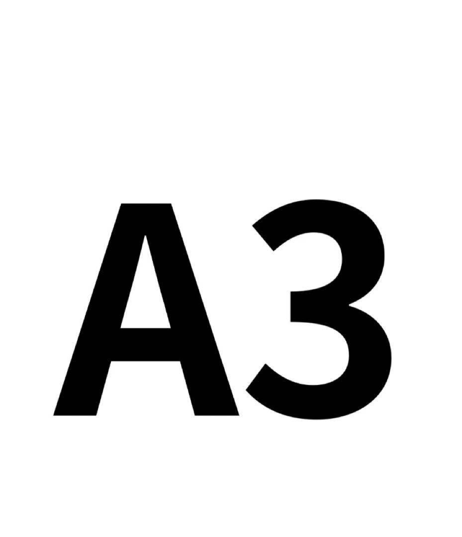 アンティーク調【A4】【A3】木製フォトフレーム　額縁